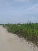 閔行浦江10畝露天場地出租適合停車物流鋼管堆放